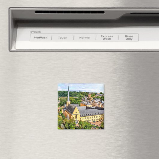 ルクセンブルク市 マグネット (インサイチュ (食洗機))