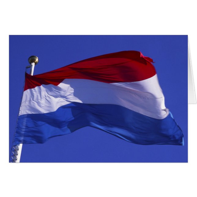 ルクセンブルグフラグRF) (正面横)