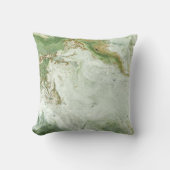 ルクセージ抽象芸術大理石クッション クッション (正面)