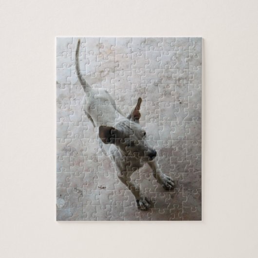 ルクマア…タイソイパピードッグ ジグソーパズル (縦)