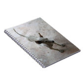 ルクマア…タイソイパピードッグ ノートブック (右側)