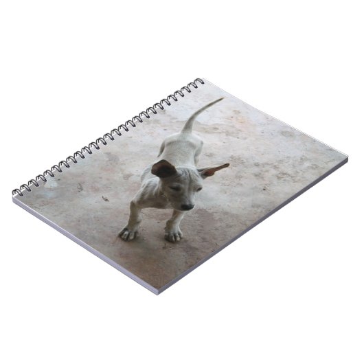 ルクマア…タイソイパピードッグ ノートブック (左側)