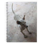 ルクマア…タイソイパピードッグ ノートブック (正面)