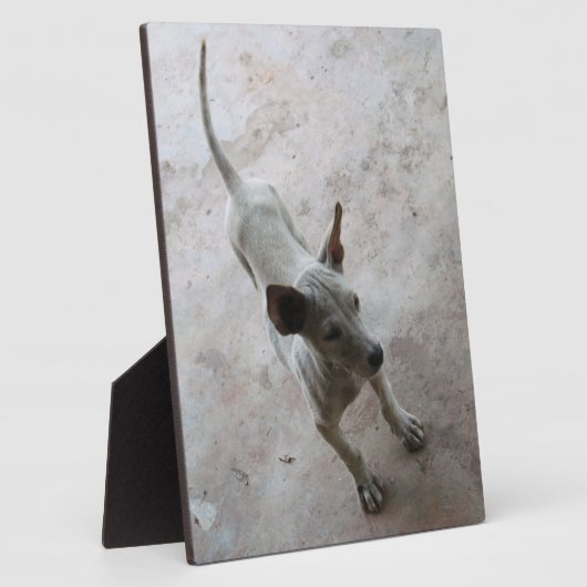 ルクマア…タイソイパピードッグ フォトプラーク (側面)