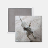 ルクマア…タイソイパピードッグ マグネット (正面/裏面)