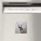 ルクマア…タイソイパピードッグ マグネット (インサイチュ (食洗機))