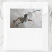 ルクマア…タイソイパピードッグ 長方形シール (バッグ)