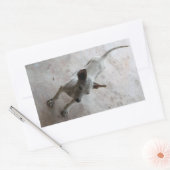 ルクマア…タイソイパピードッグ 長方形シール (封筒)