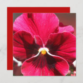 ルクレツィア (正面/裏面)