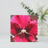 ルクレツィア (スタンド正面)