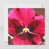 ルクレツィア (正面)