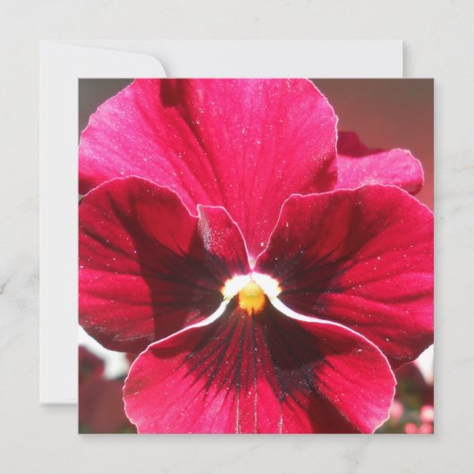 ルクレツィア (正面)