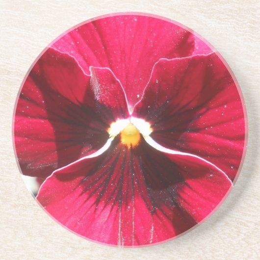 ルクレツィア コースター (正面)