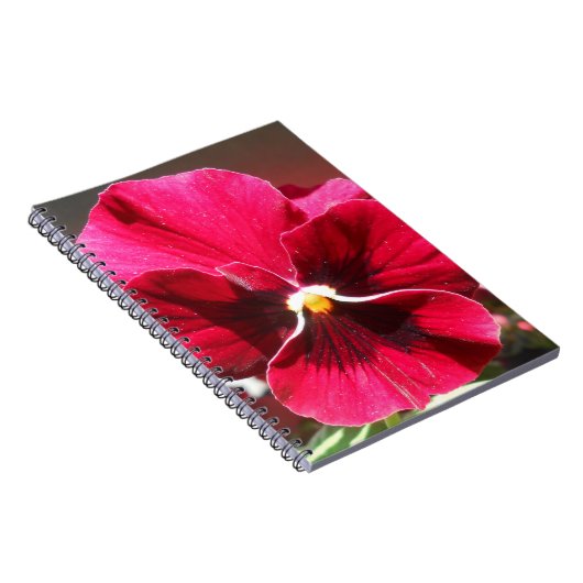 ルクレツィア ノートブック (右側)