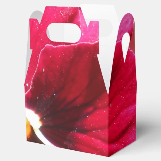 ルクレツィア フェイバーボックス (オープン)