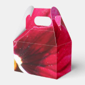 ルクレツィア フェイバーボックス (正面サイド)