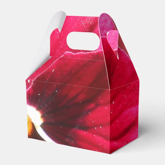 ルクレツィア フェイバーボックス (正面サイド)