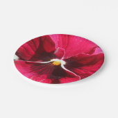 ルクレツィア ペーパープレート (アングル)