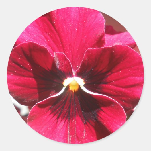 ルクレツィア ラウンドシール (正面)