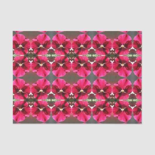 ルクレツィア 薄葉紙 (正面)