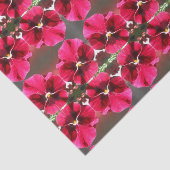 ルクレツィア 薄葉紙 (詳細)