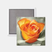 ルクールドゥンバラ マグネット (正面/裏面)