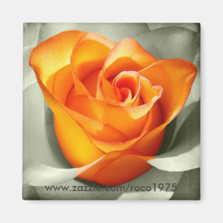 ルクールドゥンバラ マグネット