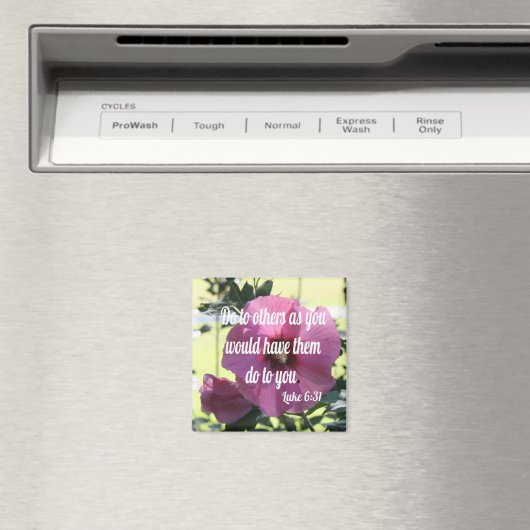 ルケ6:31 マグネット (インサイチュ (食洗機))