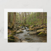 ルコンクリーク素晴らしアットスモークマウンテン (正面/裏面)