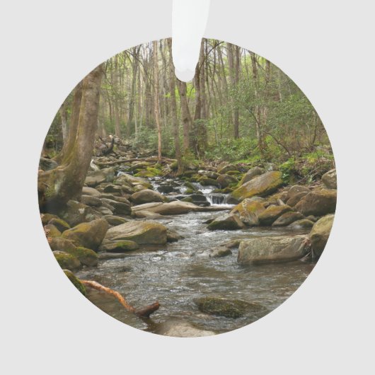 ルコンクリーク素晴らしアットスモークマウンテン オーナメント (正面)