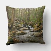 ルコンクリーク素晴らしアットスモークマウンテン クッション (裏面)