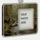 ルコンクリーク素晴らしアットスモークマウンテン シルバープレートフレームオーナメント (右)