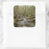 ルコンクリーク素晴らしアットスモークマウンテン スクエアシール (バッグ)