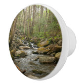 ルコンクリーク素晴らしアットスモークマウンテン セラミックノブ (右)