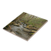 ルコンクリーク素晴らしアットスモークマウンテン タイル (側面)