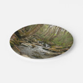 ルコンクリーク素晴らしアットスモークマウンテン ペーパープレート (アングル)