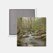 ルコンクリーク素晴らしアットスモークマウンテン マグネット (正面/裏面)