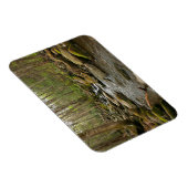 ルコンクリーク素晴らしアットスモークマウンテン マグネット (右側)