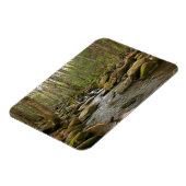 ルコンクリーク素晴らしアットスモークマウンテン マグネット (左側)