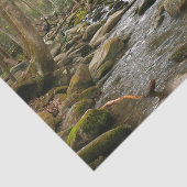 ルコンクリーク素晴らしアットスモークマウンテン 薄葉紙 (詳細)