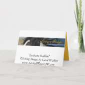 ルシタノスタリオンホースグリーティングカード カード (裏面)