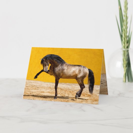 ルシタノスタリオンホースグリーティングカード カード (正面)