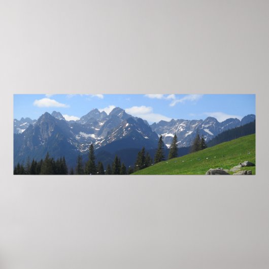 ルシノワメドウタトラ ポスター (正面)