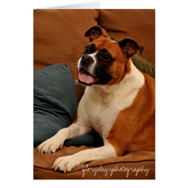 ルシーモンロー (正面)