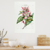 ルジャラプボタニカルアメリクフローラ ポスター (キッチン)