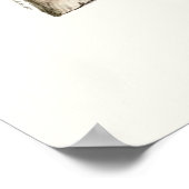 ルジロフライヤーレッドクローブアメリク植物学 ポスター (角)