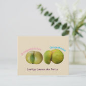 ルスティージオランゲン ポストカード (スタンド正面)