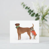 ルスティージコムヌムニカーションゲラウシンベルハルテンフンデ ポストカード (スタンド正面)