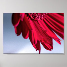 ルスブリュテンスプレーヘン ポスター