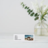 ルソーの「眠れるジプシー」(1897年) スキニー名刺 (スタンド正面)